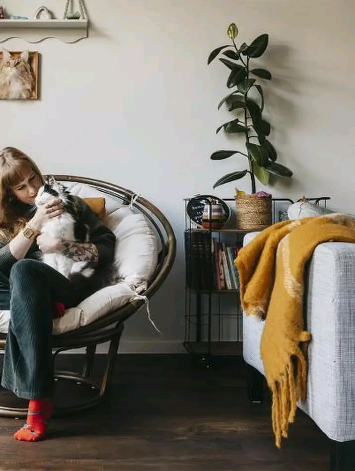 Find your forever companion